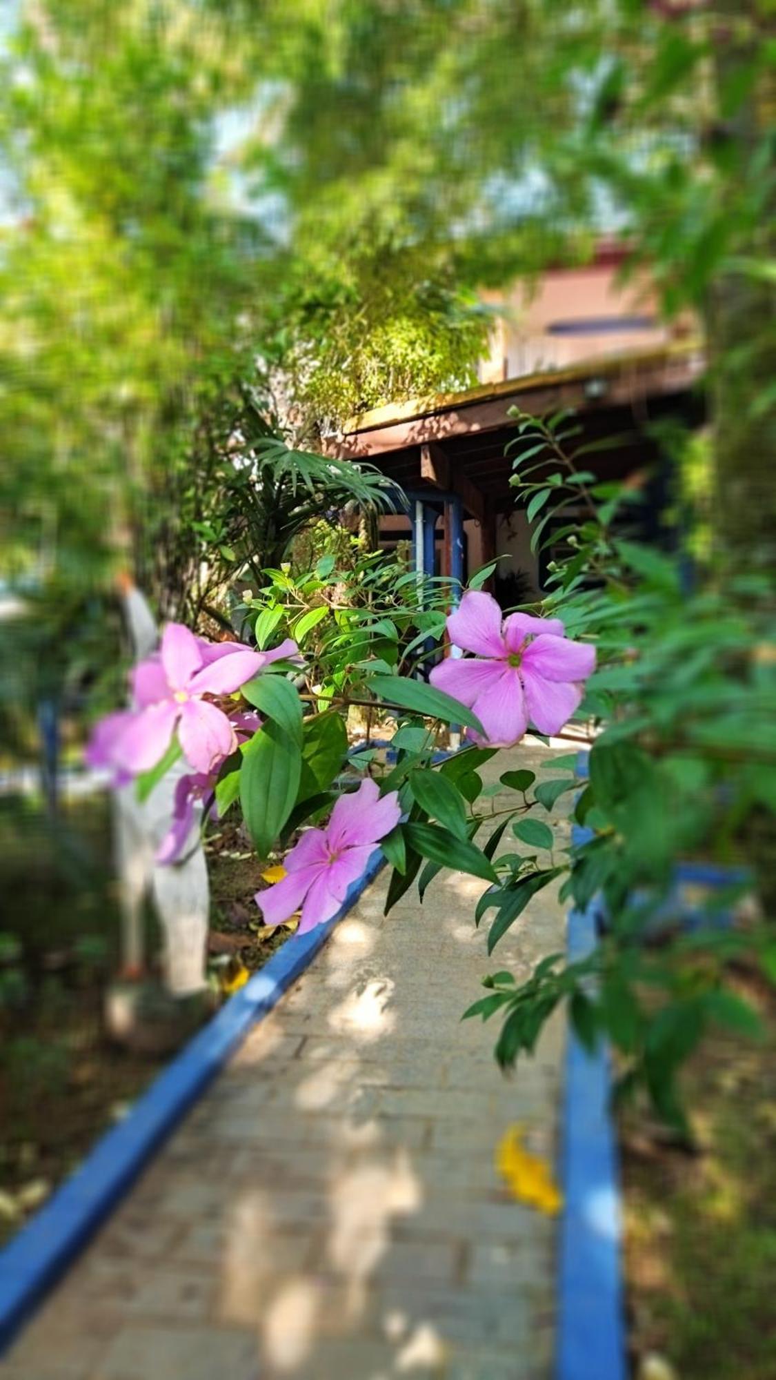 A Casa Do Sol Cibratel Pousada Itanhaem Ngoại thất bức ảnh